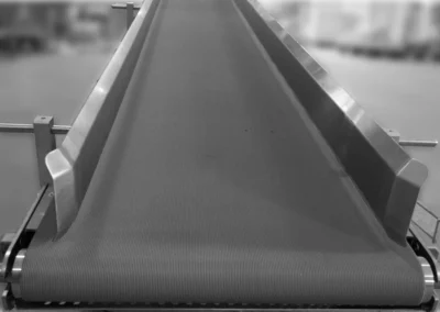 nastro trasportatore per industria alimentare